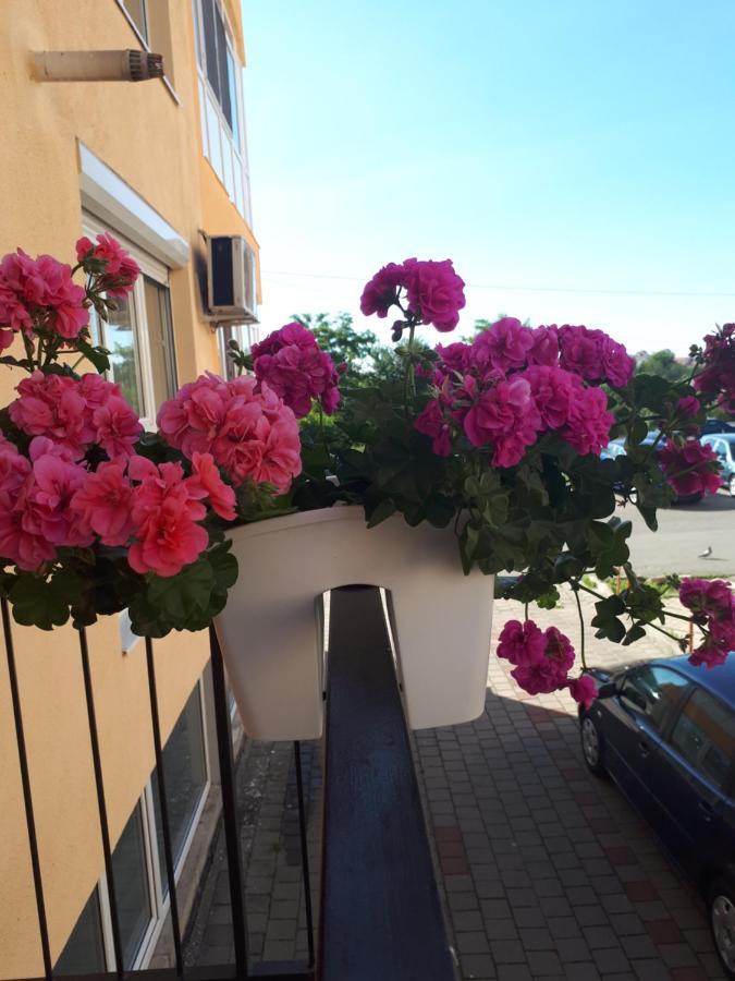 Angel apartament Hermannstadt Exterior foto